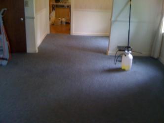  Carpet cleaned for new rental tenant 